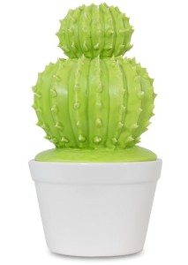 Pojemnik kaktus 107185