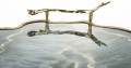 c3159d3d335aff8763ebbb2f85283712-big.jpg