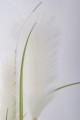 5a8300adc27b0cd7f6f986aa9bebef68-big.jpg