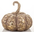 5b904acda1c12ad743d540fb7e122499-big.jpg