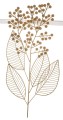 d4ddb6f63eef60da1f865379cbe84a10-big.jpg