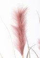 31388bbba96e62824f527906d883276e-big.jpg