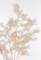 715ec00728696c4552c557a61d6f0de4-big.jpg