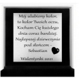 Zrzut ekranu 2024-02-12 133003.png