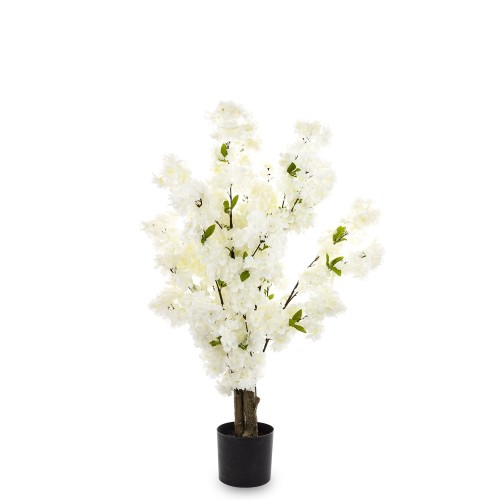 3505a816f4cc275434cd141a8a96d1d0-big.jpg
