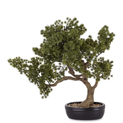 993013c85cb9b1e1aae180dda079c048-big.jpg