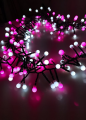 Screenshot 2024-11-21 at 15-04-35 Lampki choinkowe modee 3m PINK COLD 288LED ML-C2016 - sklep internetowy hurt.com.pl.png