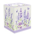 1461 LAVF box.jpg