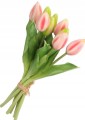 3895830538c54befb04d1b0fb710b0fa.jpg