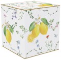 1171 FCIT box.jpg