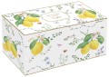 1172 FCIT box.jpg