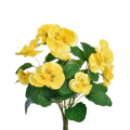 big_678f9df8c50d1-418-yellow.png