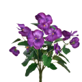 big_418-egg-plant-.png