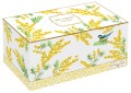 923 MIMO box.jpg