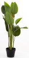 c3363cb573cf1a90568bd130bb35eeec-big.jpg