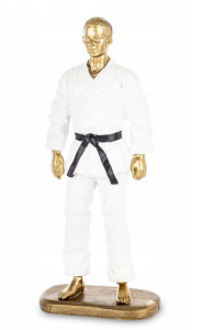 Figurka Mężczyzna figura Karateka sporty walki karate złoty biały On
