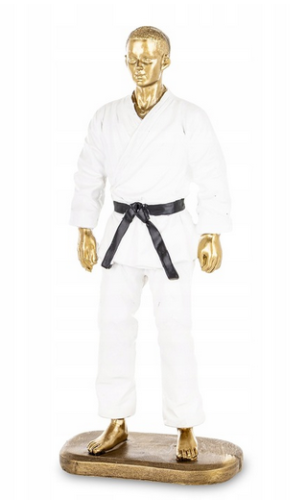 Screenshot 2026-02-25 at 08-25-19 Figurka Mężczyzna figura Karateka sporty walki karate złoty biały On (5902663787210) • Cena Opinie • Figurki i rzeźby 18318747769 • Allegro.png