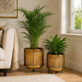 ChatGPT Image 29 kwi 2026, 08_53_21.png