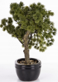 Screenshot 2026-05-08 at 10-56-15 Sztuczne drzewko Bonsai w doniczce 31x30x24 175998 (5902663759989) • Cena Opinie • Sztuczne kwiaty i owoce 18052123515 • Allegro.png