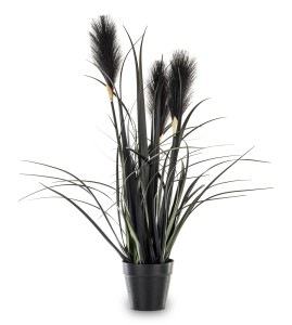 Roślina Trawa Pampasowa czarna Sztuczna Dekoracja pinterest loft boho