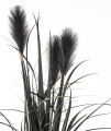 d2ee07885601c3b0cffc791c0ec297aa-big.jpg