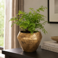 ChatGPT Image 10 cze 2026, 06_57_10.png