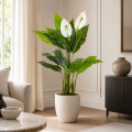 ChatGPT Image 9 lip 2026, 06_26_08.png