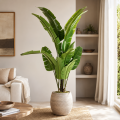ChatGPT Image 9 lip 2026, 06_50_52.png