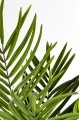 6b89abb8fc77aa38a75c36f5da8a42ed-big.jpg