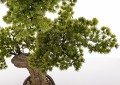 92eab63504b62119694c3a7126e9699f-big.jpg
