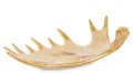 69ff5298619b6400cbe4ce800b1f84a6-big.jpg